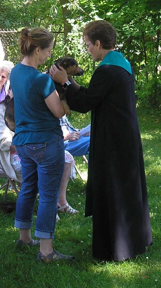 June 23rd, Blessing of the Animals